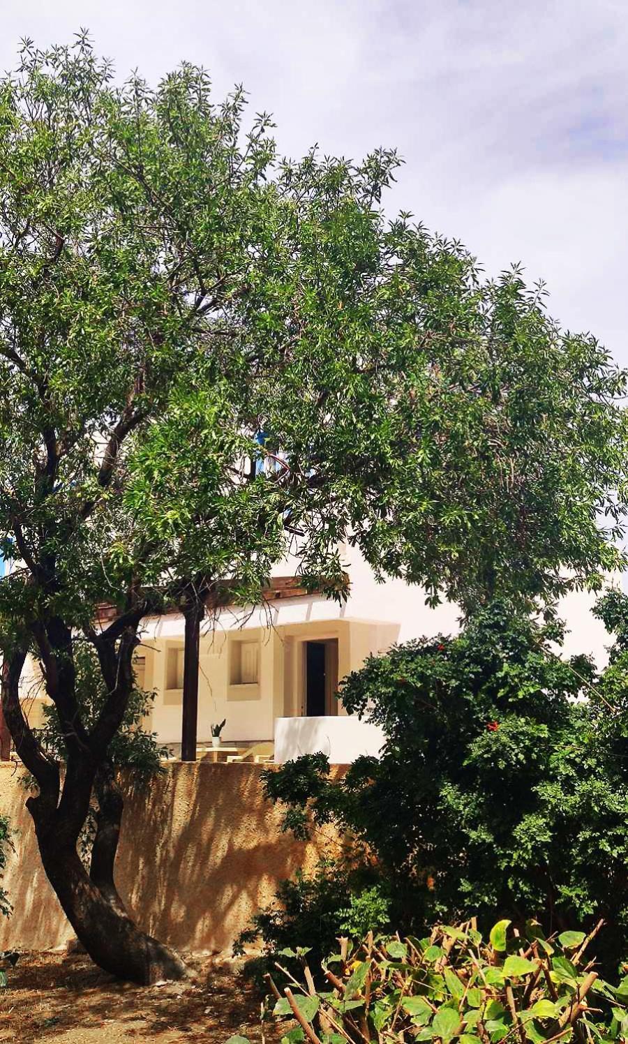 Anthelia Apartments Myrties Bagian luar foto